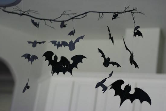 תלו עטלפים מהתקרה