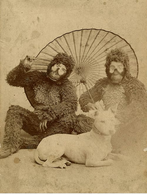 Dos homes blancs disfressats de mico amb un gos blanc al davant i un paraigua darrere