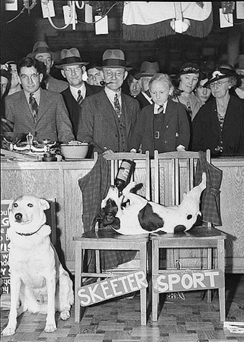 Diversos homes amb barret darrere d'un gos amb les potes a l'aire en dues cadires i un altre gos blanc al seu costat