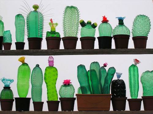 cactus hechos en botellas de plástico