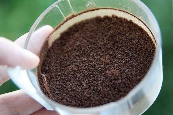 Cómo reutilizar los posos de café