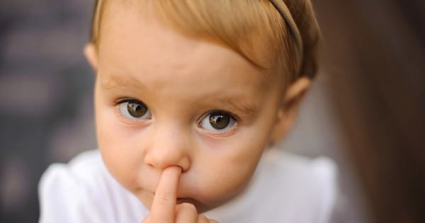 ایک بچہ اپنے بوگر کھاتا ہے: آپ کی صحت کے لیے اچھا یا برا؟