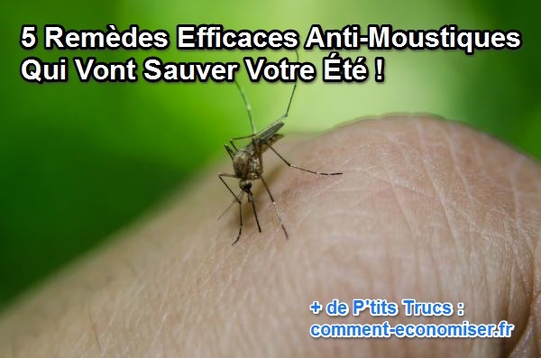 naturlige og effektive løsninger til at afvise myg