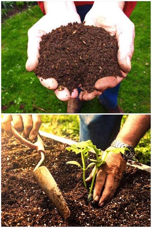 استخدم المزيج الصحيح من التربة والسماد لملء حديقة الخضروات المرتفعة.