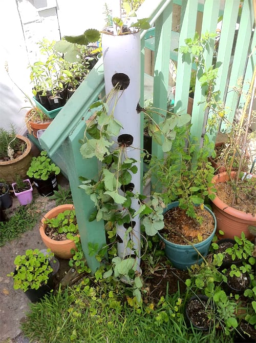 Jardinera vertical de tubs de PVC