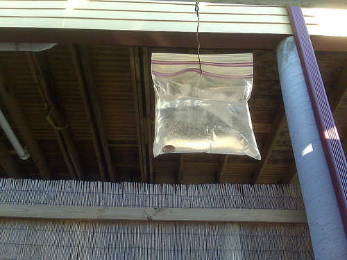 Takutin ang mga langaw gamit ang isang plastic bag na puno ng tubig