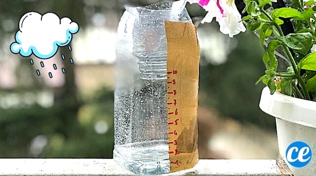 Cómo hacer un pluviómetro con una botella de plástico
