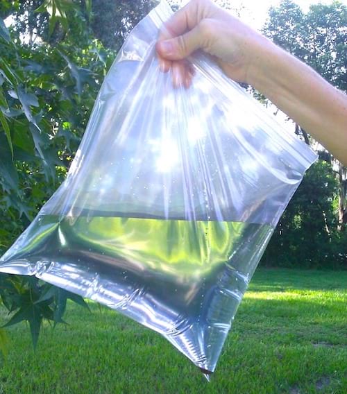 Una bolsa con cremallera llena de agua.