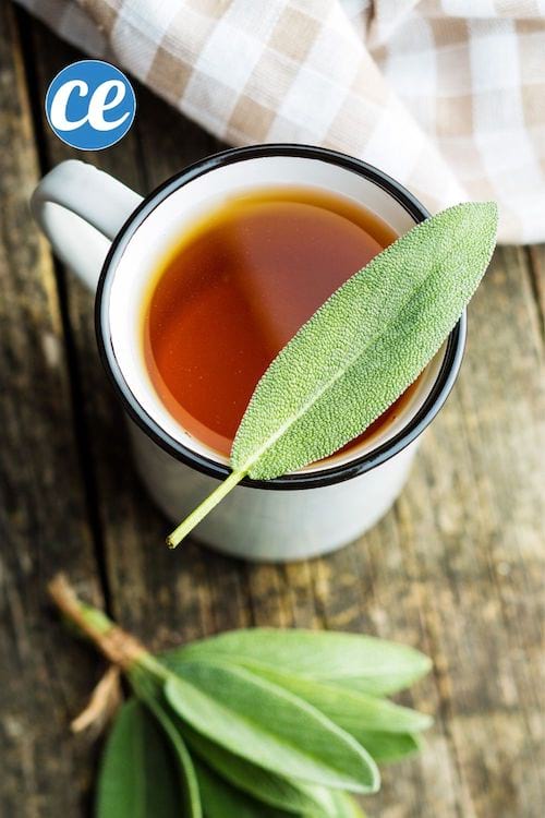 Una taza de té de hierbas con hojas de salvia.