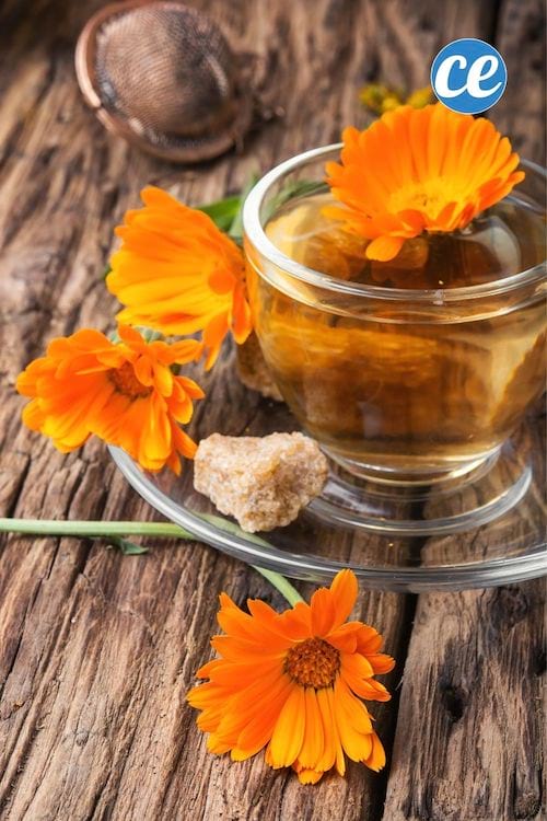 כוס תה צמחים עם פרחי קלנדולה