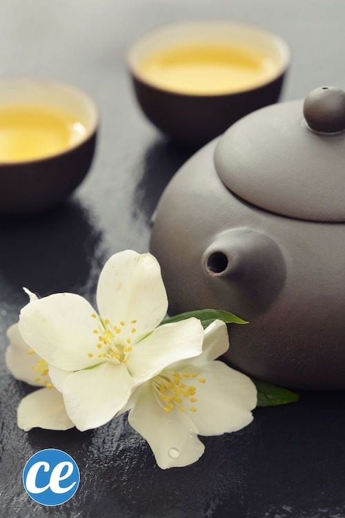 קומקום וכוס תה צמחים עם פרחי יסמין