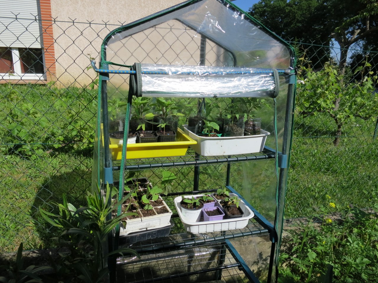 Paano Gumawa ng Mini Seedling Greenhouse ng LIBRE.