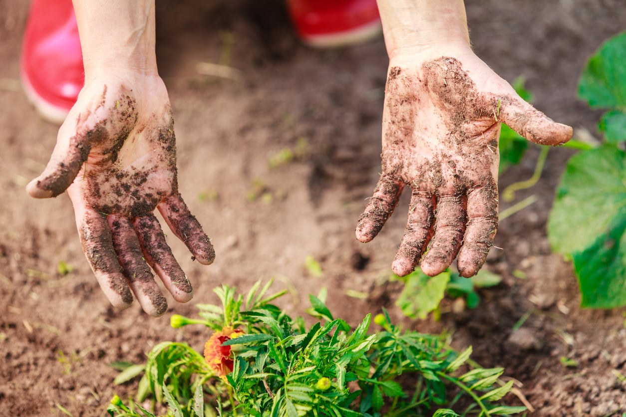 La manera fàcil de netejar-vos les mans després de la jardineria.