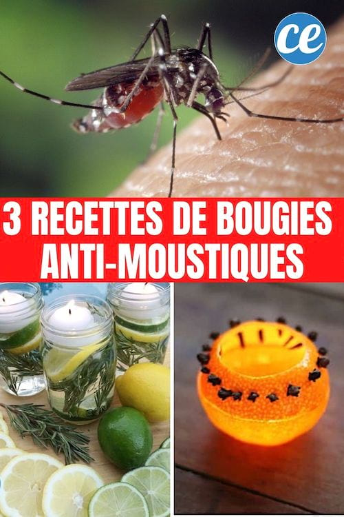 3 recetas caseras de velas para combatir los mosquitos