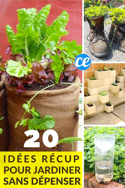 20 idees súper estalviadores per estalviar al jardí.
