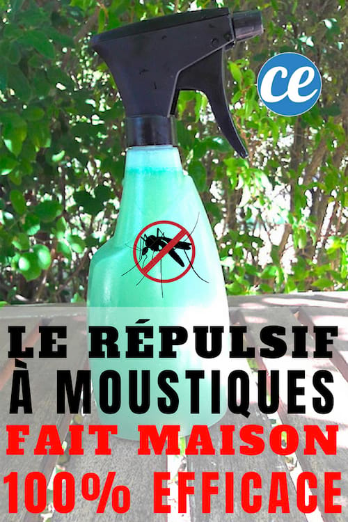 O repelente de mosquitos caseiro 100% eficaz