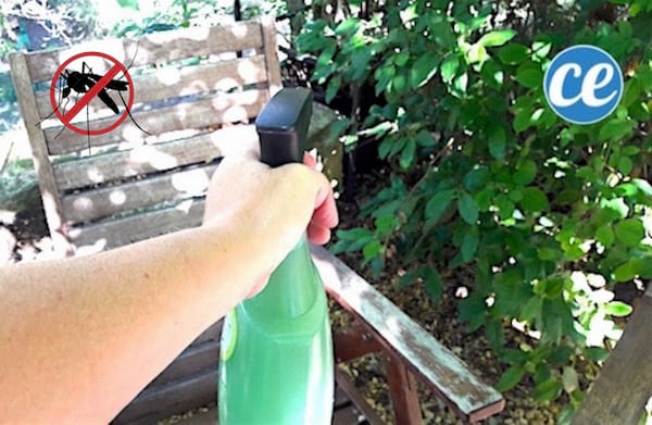 um spray de mosquito caseiro para espantar os mosquitos do jardim