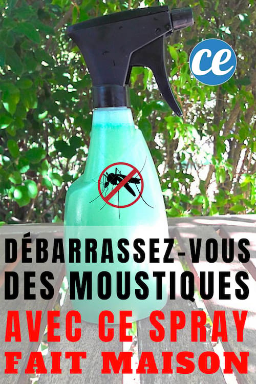 la receta de spray casero para mantener alejados a los mosquitos en el jardín