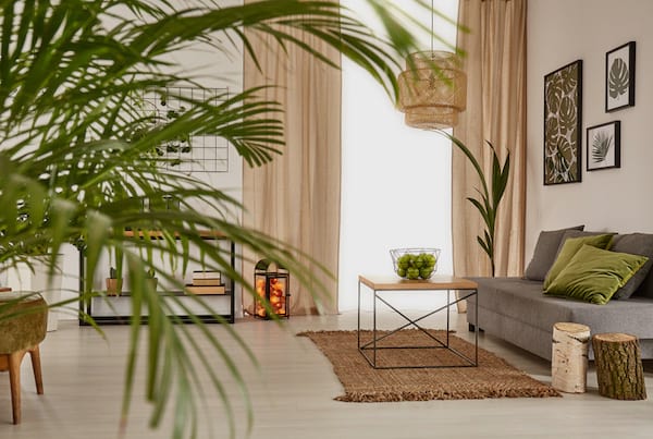 sala de estar con hermosas plantas verdes