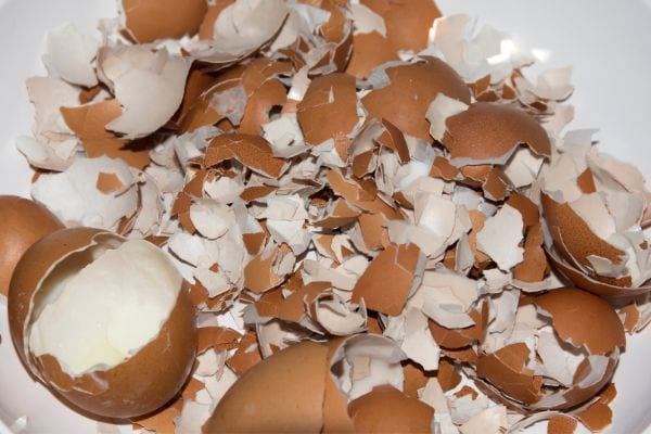 cáscaras de huevo, trituradas en trozos pequeños