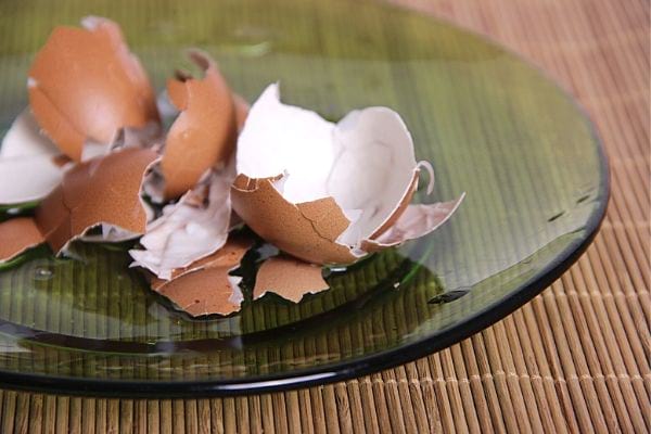 cáscaras de huevo rotas en un plato