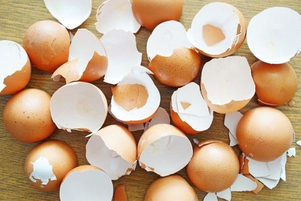 חצי קליפות ביצים שבורות