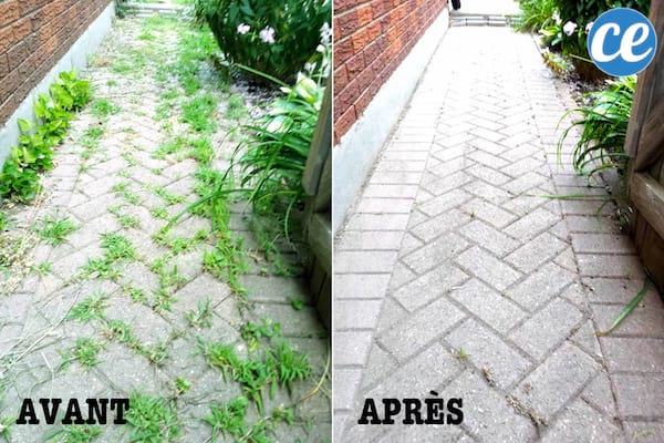 Un camino de jardín con y después de usar un herbicida natural.