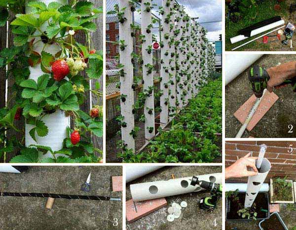 איך להכין מגדל תותים