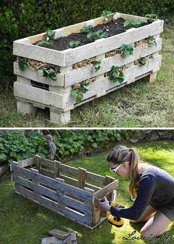 Una paleta de madera se puede transformar en una jardinera