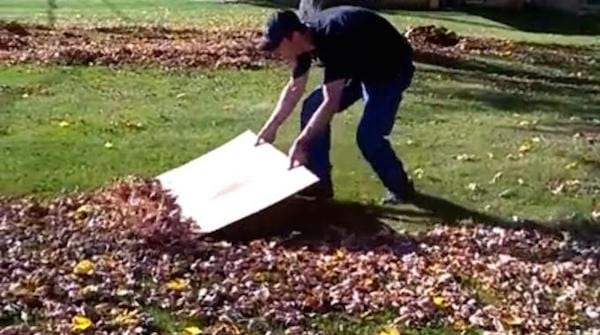 un gran trozo de cartón facilita la recogida de las hojas