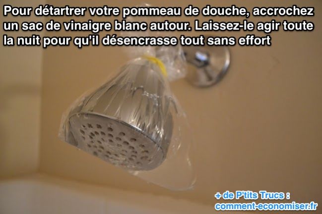 Per descalcificar el capçal de la dutxa, penja una bossa de vinagre blanc al voltant.