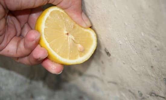 pisilin ang lemon para mawala ang mga langgam