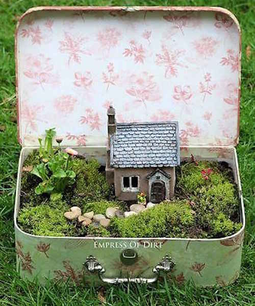Miniatūrs dārzs līdzņemšanai koferī