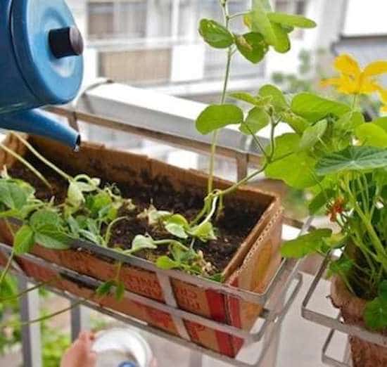 jardinera de cartró reciclat