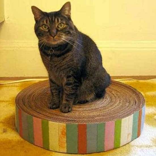 Poste rascador DIY para tu gato en cartón reciclado