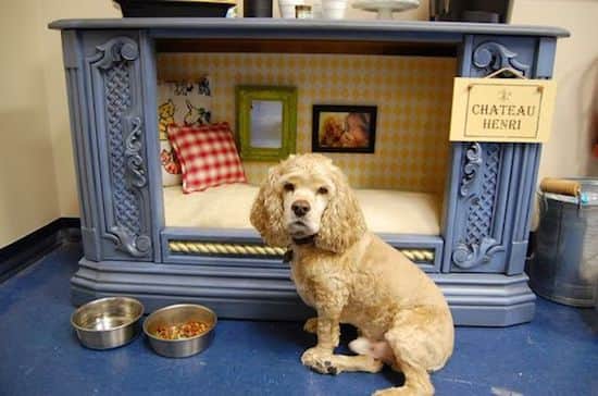 Mueble TV antiguo en canasta para perros - Las mejores ideas para darle una segunda vida a tus muebles viejos.
