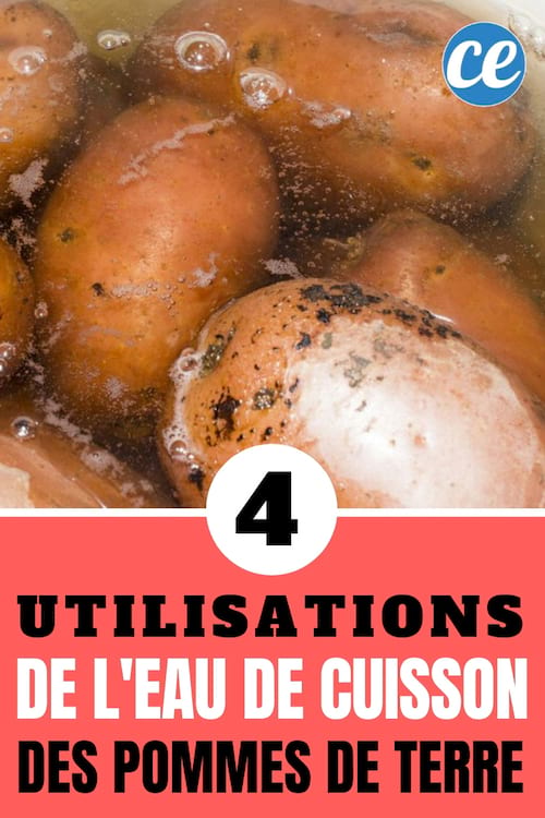 agua de cocción de patatas: ¿qué hacer con ella? 4 consejos que debes saber para reutilizarlo