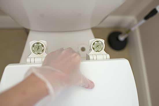 Retire el asiento del inodoro para una limpieza adecuada.