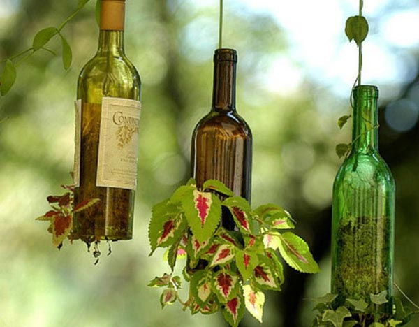 botellas suspensiones plantas