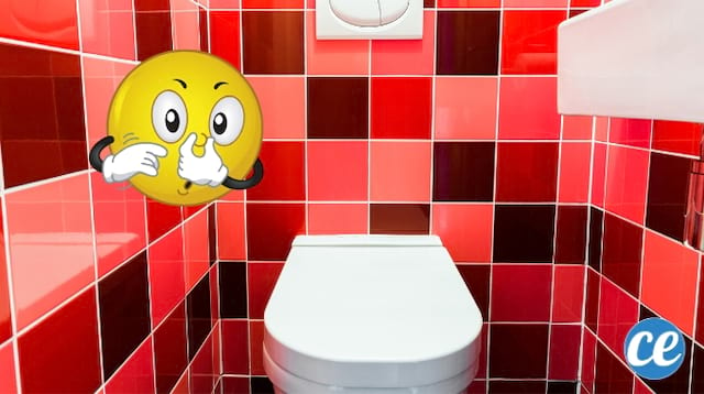 WC blanc amb rajoles vermelles i un somriure que es pessiga el nas perquè fa mala olor