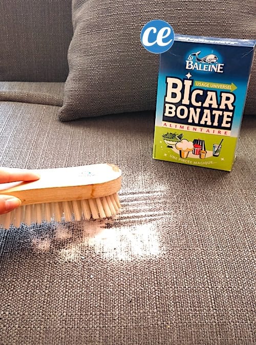 Cepille bicarbonato de sodio en el sofá para limpiar