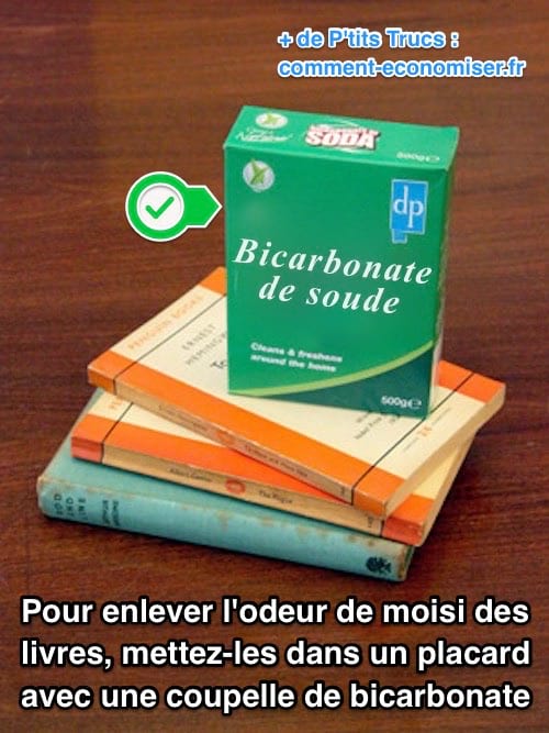 el truc per eliminar les olors a humitat d'un llibre amb bicarbonat de sodi
