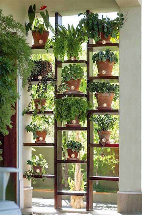 un estante colocado en la terraza permite hacer un jardín vertical y hacer un gran avance