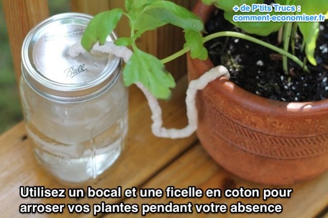 השתמש בצנצנת ובחוט כותנה כדי להשקות את הצמחים שלך בזמן שאתה לא