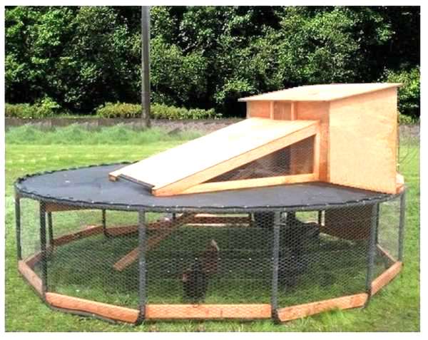 originalt hønsehus med gammel trampoline