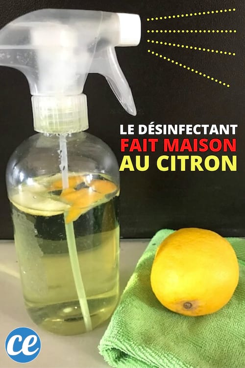 וירוס קורונה: איך להכין חומר חיטוי תוצרת בית באמצעות לימון.