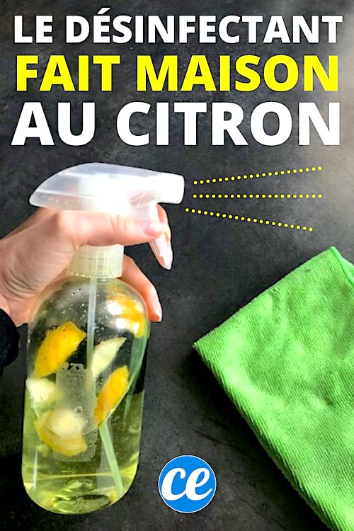En flaske hvid eddike med citronskaller til at desinficere og rense huset