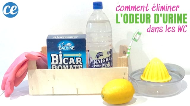 Un paquete de bicarbonato de sodio, una botella de vinagre blanco, un limón y un cepillo de dientes para limpiar el olor a pis en el inodoro.
