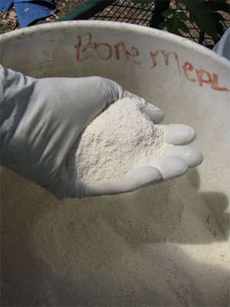 fertilitzant d'os de farina per a tomàquets