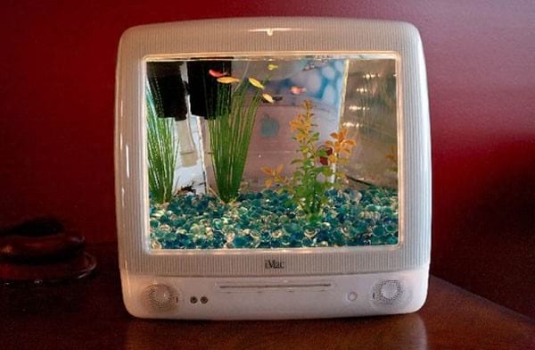 una pantalla de televisión se convierte en un acuario